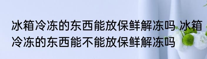 冰箱冷冻的东西能放保鲜解冻吗 冰箱冷冻的东西能不能放保鲜解冻吗