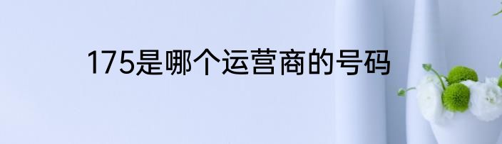 175是哪个运营商的号码