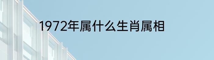 1972年属什么生肖属相