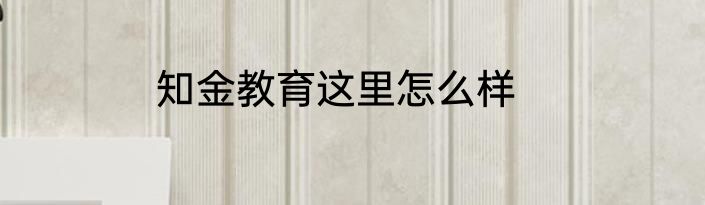 知金教育这里怎么样