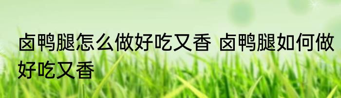 卤鸭腿怎么做好吃又香 卤鸭腿如何做好吃又香