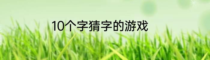 10个字猜字的游戏