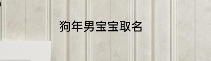 狗年男宝宝取名