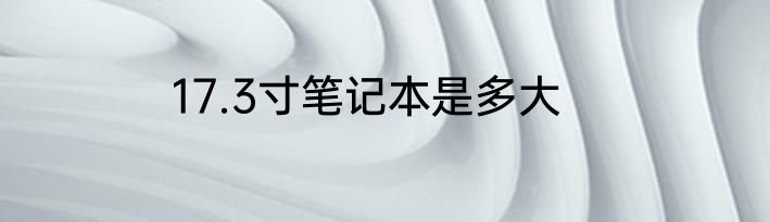 17.3寸笔记本是多大