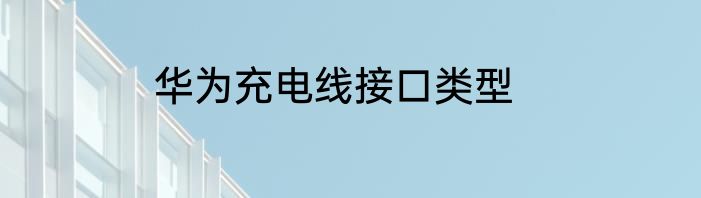 华为充电线接口类型