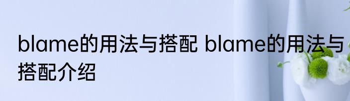 blame的用法与搭配 blame的用法与搭配介绍
