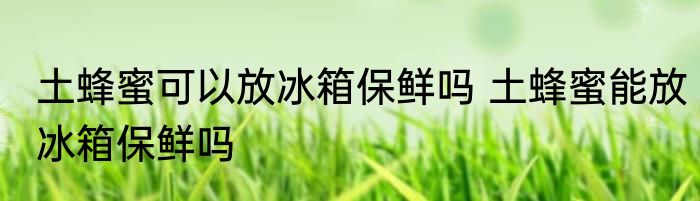 土蜂蜜可以放冰箱保鲜吗 土蜂蜜能放冰箱保鲜吗