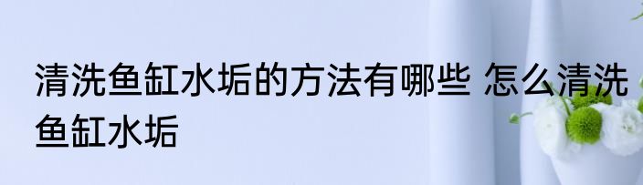 清洗鱼缸水垢的方法有哪些 怎么清洗鱼缸水垢