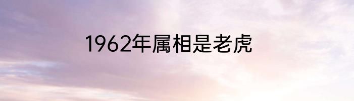 1962年属相是老虎