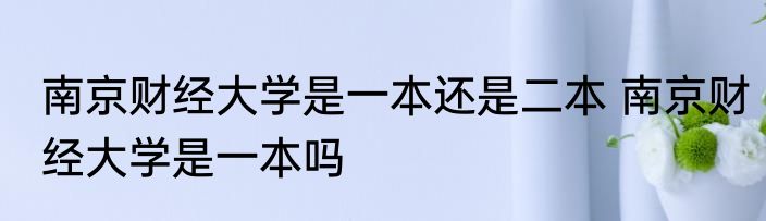 南京财经大学是一本还是二本 南京财经大学是一本吗