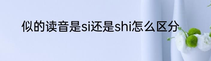 似的读音是si还是shi怎么区分