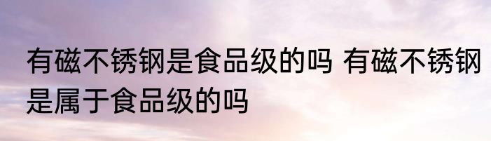 有磁不锈钢是食品级的吗 有磁不锈钢是属于食品级的吗