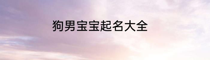 狗男宝宝起名大全
