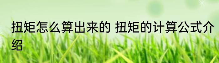 扭矩怎么算出来的 扭矩的计算公式介绍