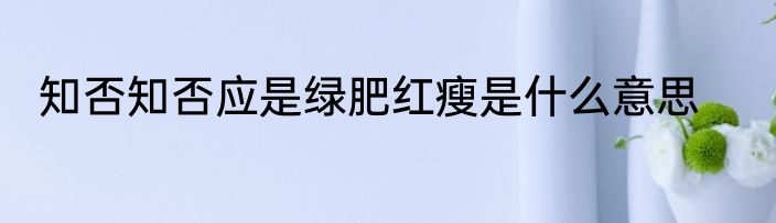 知否知否应是绿肥红瘦是什么意思