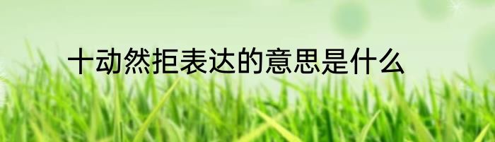 十动然拒表达的意思是什么