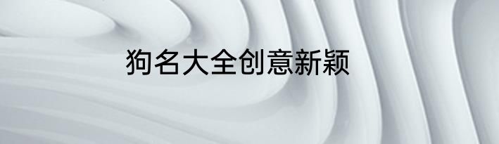 狗名大全创意新颖