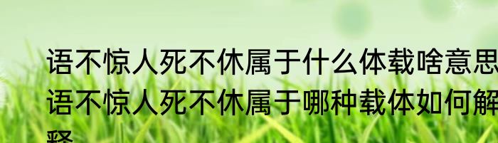语不惊人死不休属于什么体载啥意思 语不惊人死不休属于哪种载体如何解释