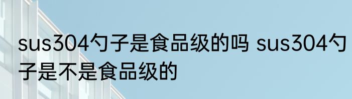 sus304勺子是食品级的吗 sus304勺子是不是食品级的