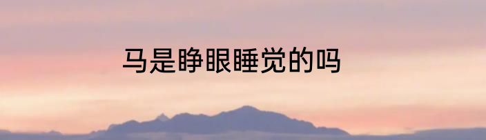 马是睁眼睡觉的吗