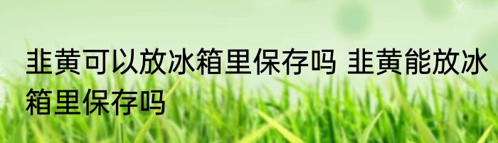 韭黄可以放冰箱里保存吗 韭黄能放冰箱里保存吗