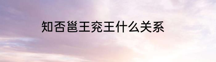 知否邕王兖王什么关系
