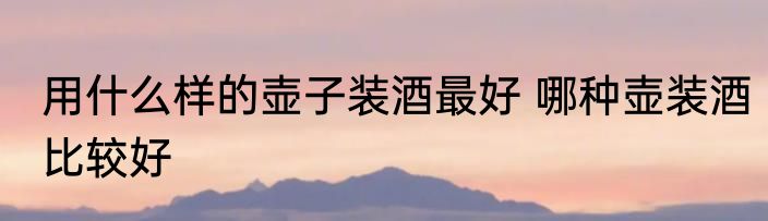 用什么样的壶子装酒最好 哪种壶装酒比较好