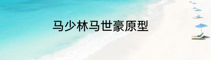 马少林马世豪原型