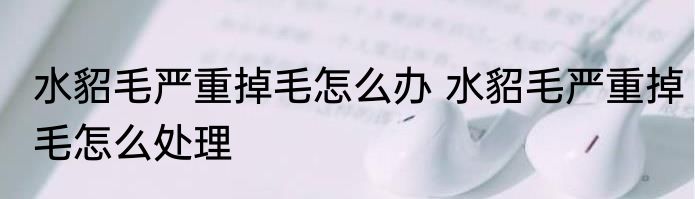 水貂毛严重掉毛怎么办 水貂毛严重掉毛怎么处理