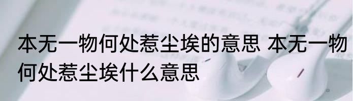 本无一物何处惹尘埃的意思 本无一物何处惹尘埃什么意思
