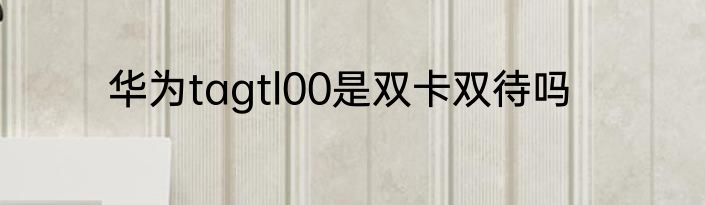 华为tagtl00是双卡双待吗