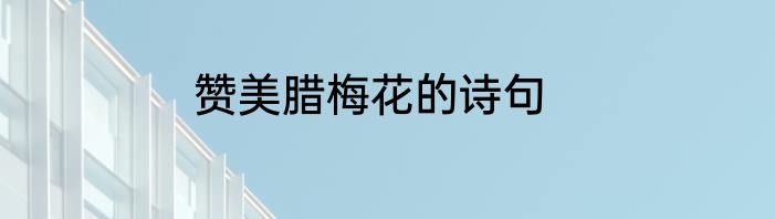 赞美腊梅花的诗句