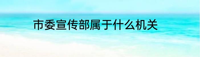 市委宣传部属于什么机关