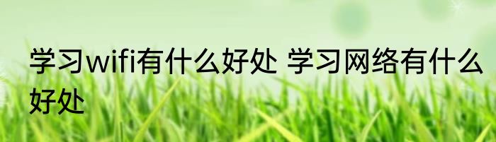学习wifi有什么好处 学习网络有什么好处