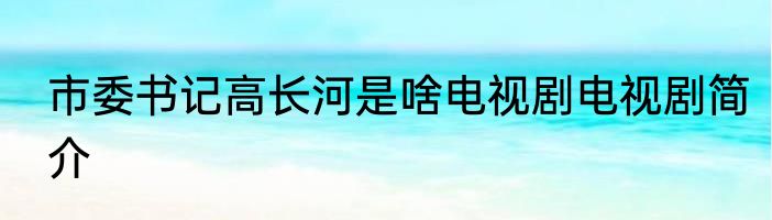 市委书记高长河是啥电视剧电视剧简介