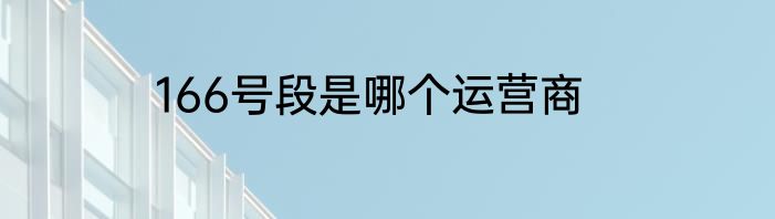 166号段是哪个运营商