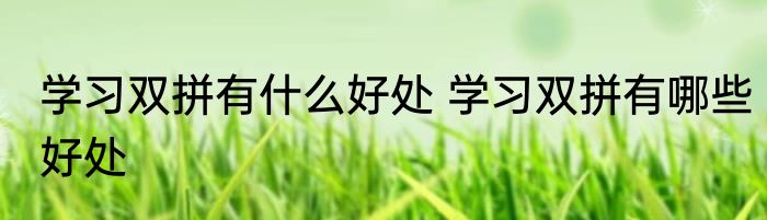 学习双拼有什么好处 学习双拼有哪些好处
