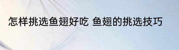 怎样挑选鱼翅好吃 鱼翅的挑选技巧