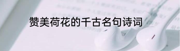 赞美荷花的千古名句诗词