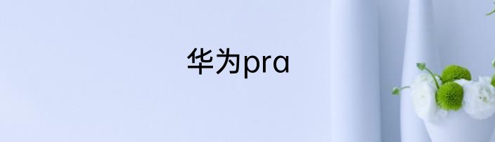 华为pra
