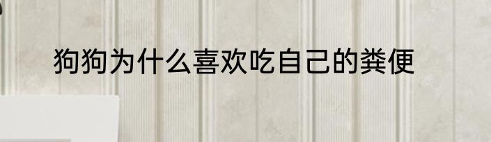 狗狗为什么喜欢吃自己的粪便