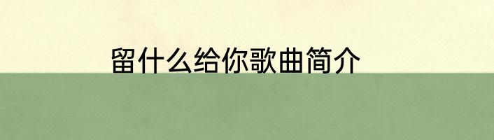 留什么给你歌曲简介