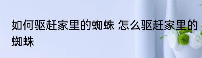 如何驱赶家里的蜘蛛 怎么驱赶家里的蜘蛛