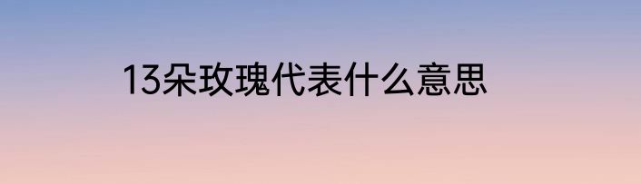 13朵玫瑰代表什么意思