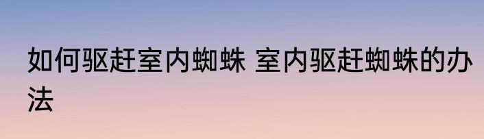 如何驱赶室内蜘蛛 室内驱赶蜘蛛的办法