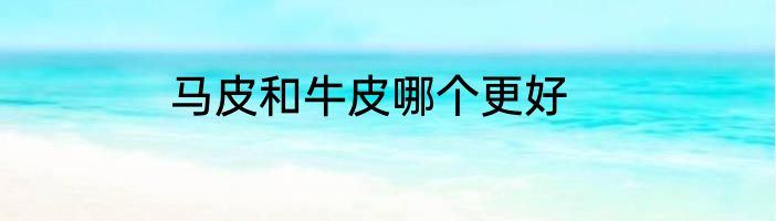 马皮和牛皮哪个更好