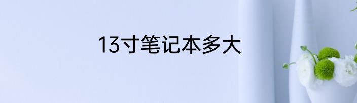 13寸笔记本多大