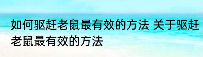 如何驱赶老鼠最有效的方法 关于驱赶老鼠最有效的方法