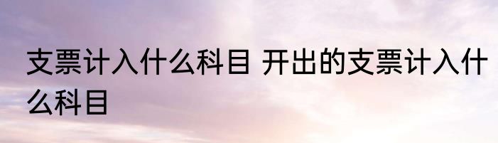 支票计入什么科目 开出的支票计入什么科目