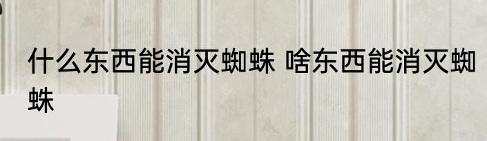 什么东西能消灭蜘蛛 啥东西能消灭蜘蛛